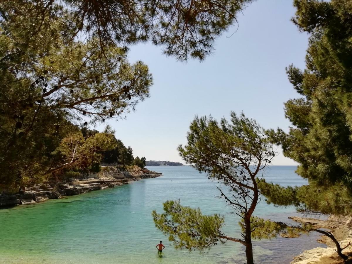 Apartments Jadranka Ivana Pula Dış mekan fotoğraf