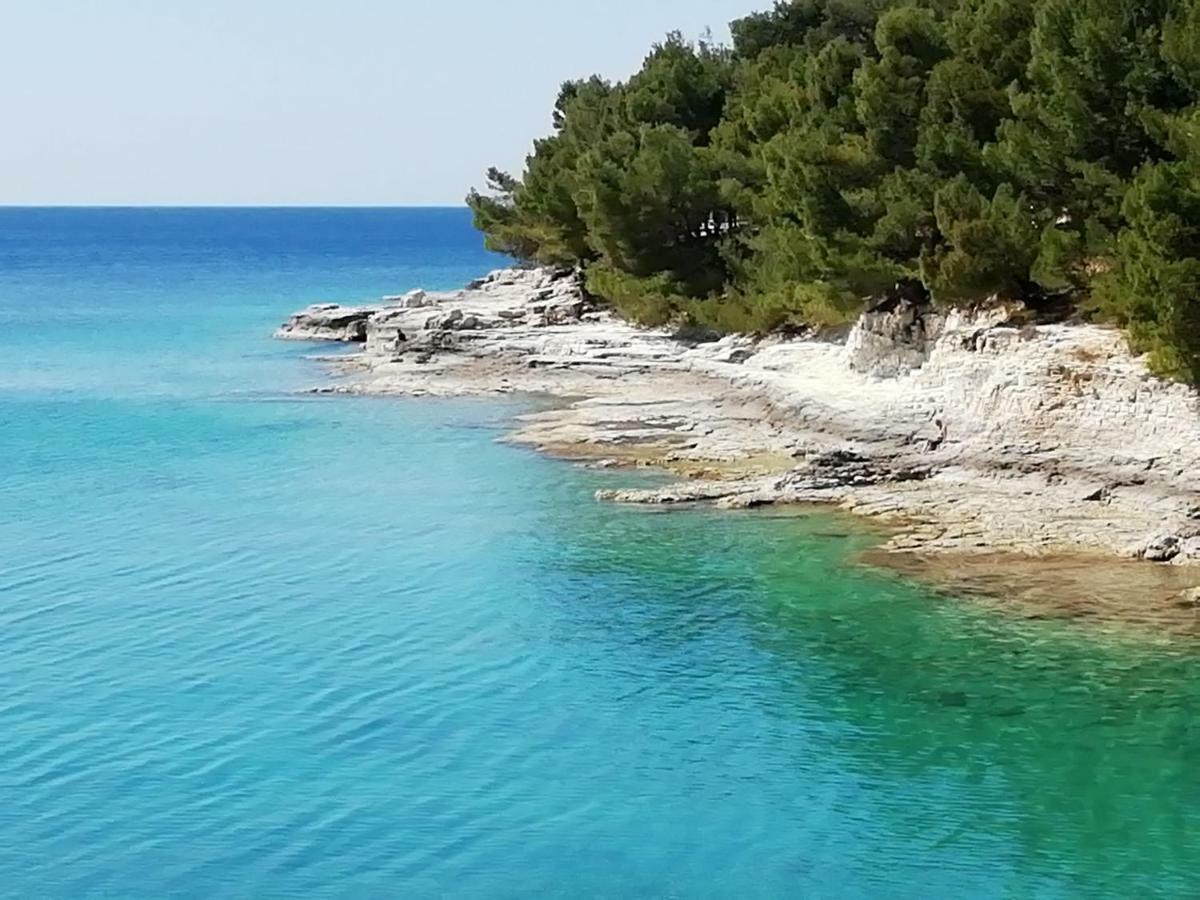 Apartments Jadranka Ivana Pula Dış mekan fotoğraf
